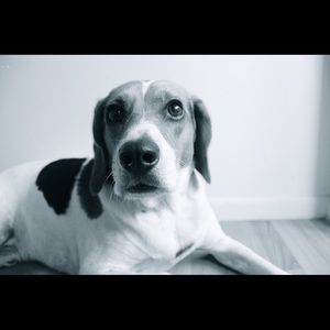 Meet your Posher, Sophia